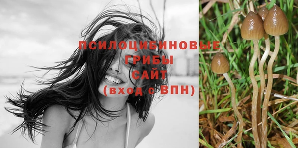 стафф Лагань