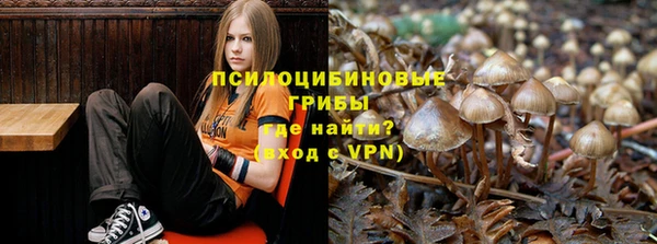 стафф Лагань