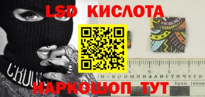 индика Сланцы