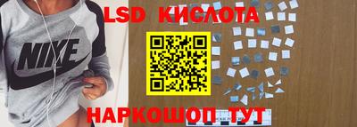 индика Сланцы