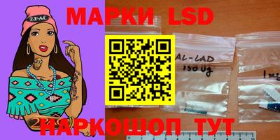 индика Сланцы