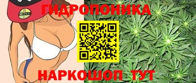 не бодяженный Аргун