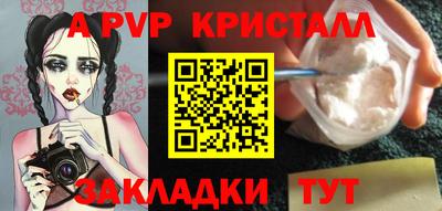 индика Сланцы