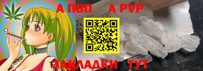 индика Сланцы