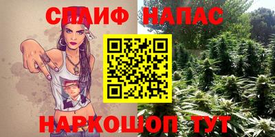 индика Сланцы