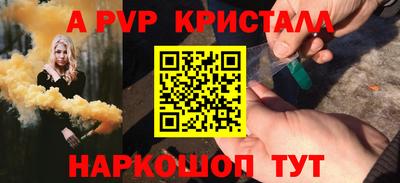 индика Сланцы