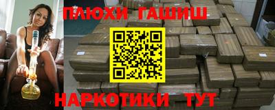 индика Сланцы