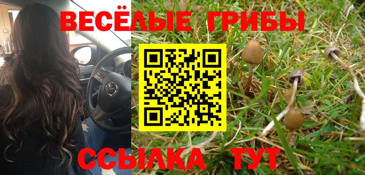 Псилоцибиновые грибы Cubensis Маркс