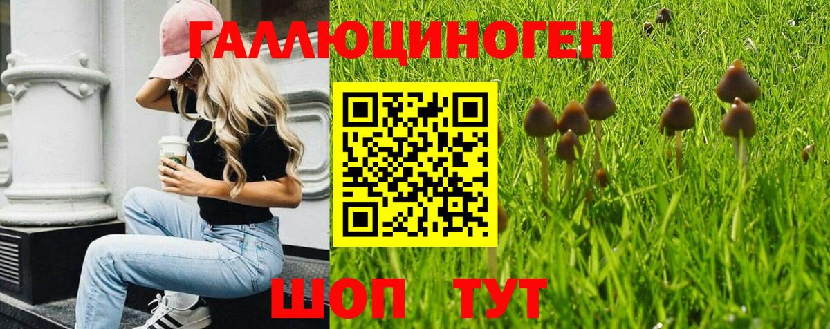 Галлюциногенные грибы MAGIC MUSHROOMS Маркс