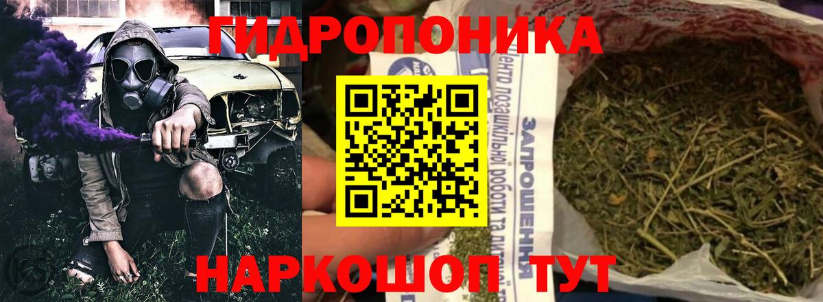 Шишки марихуана гибрид Маркс